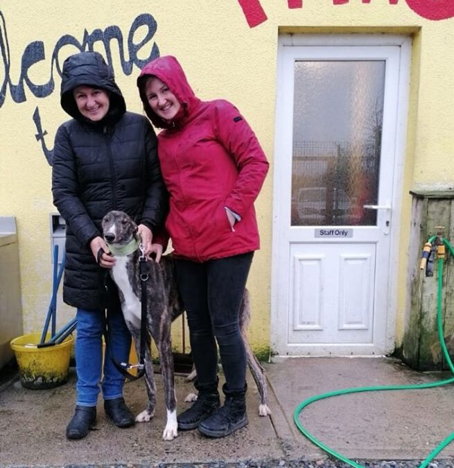 Success Stories – Greyhound boy, Kyle, gets a home