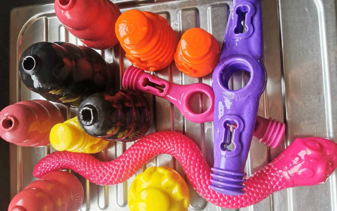 Puzzle and enrichment toys for your dog