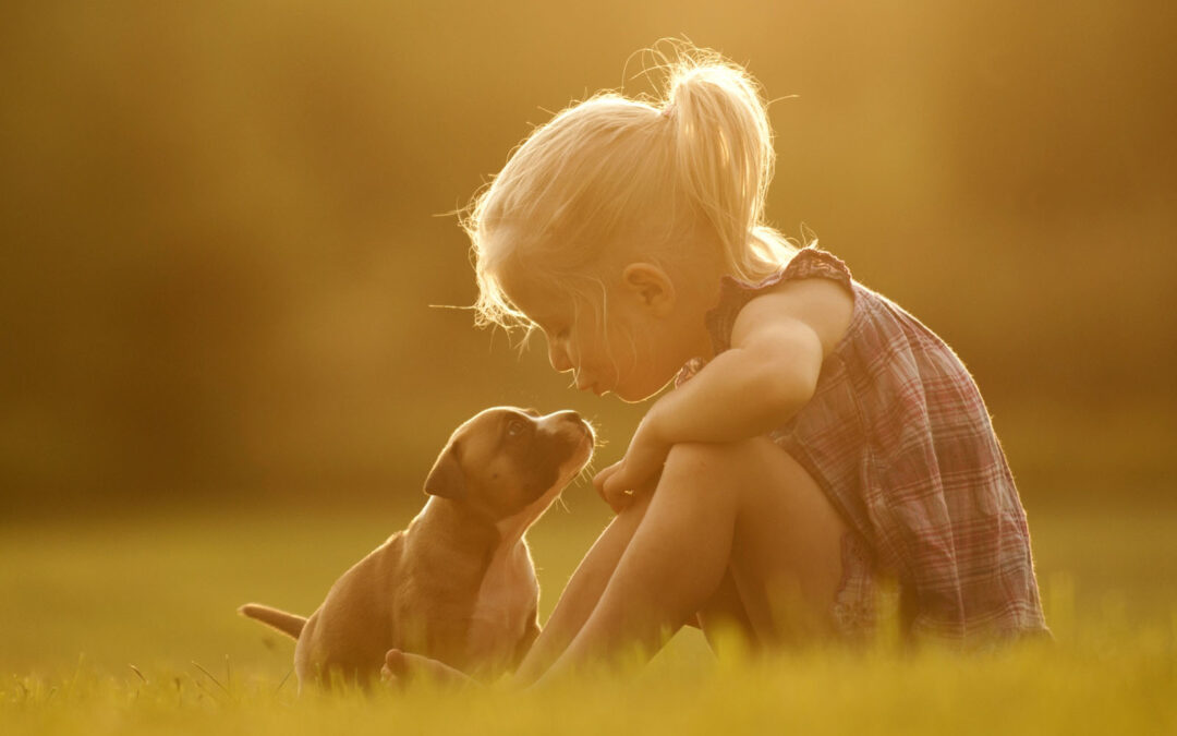 The family dog & young children