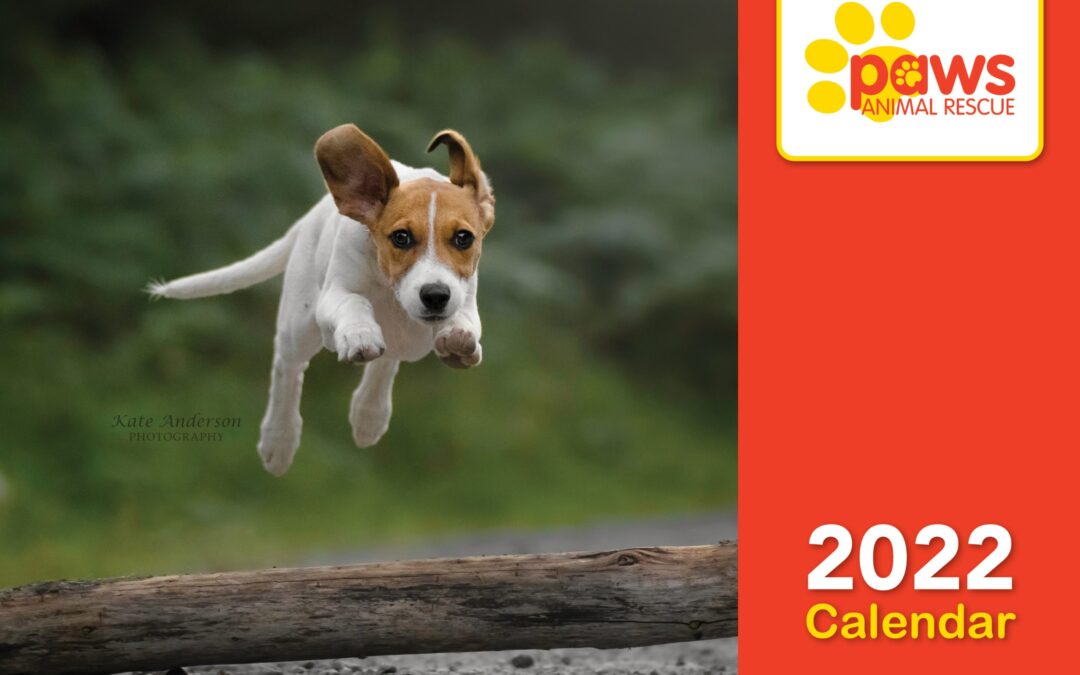 2022 calendars, greeting cards and desktop calendar coming soon !