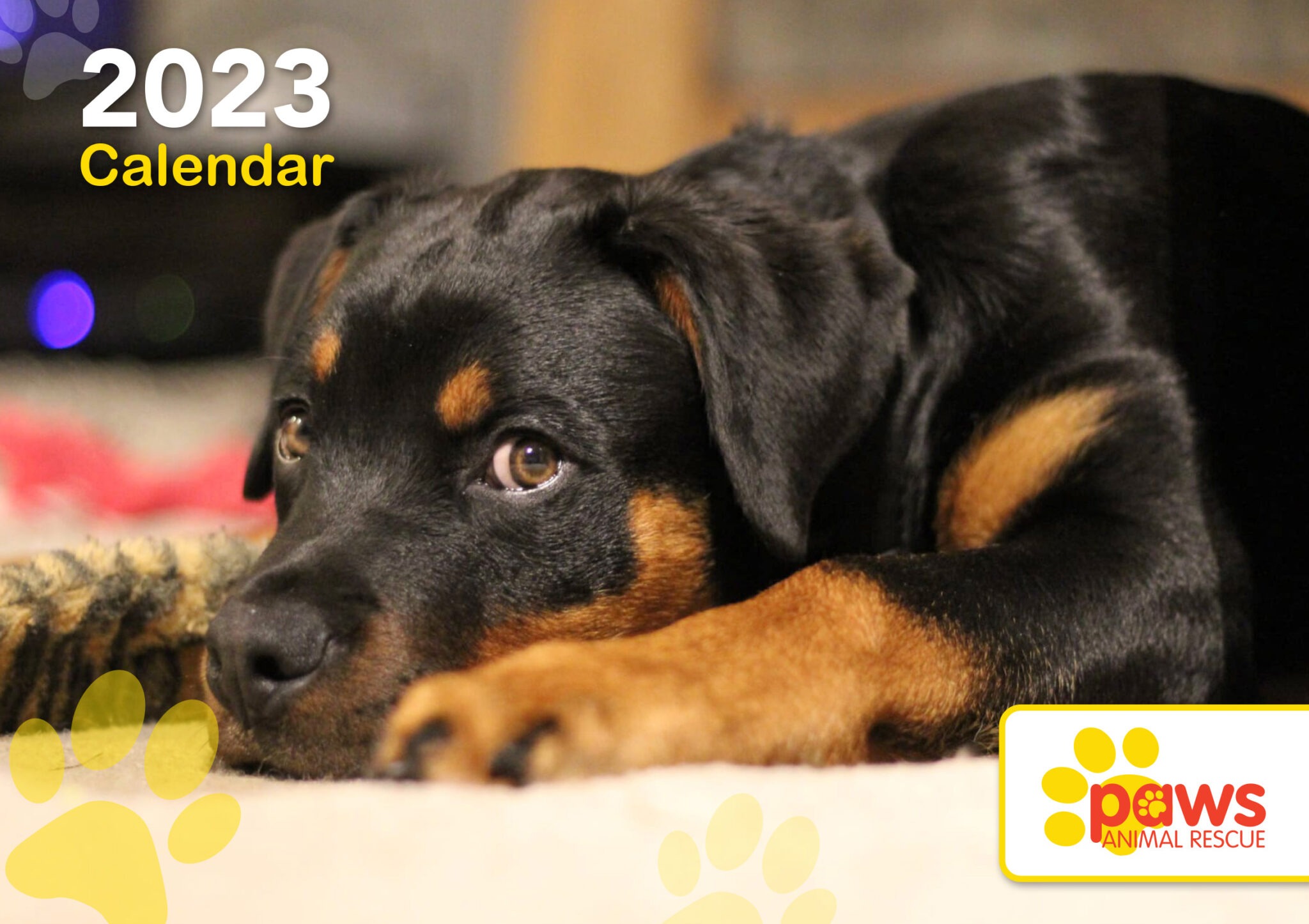 PAWS 2023 Calendar